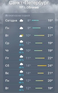 В Санкт-Петербурге ожидается неделя непрерывных дождей с начала лета