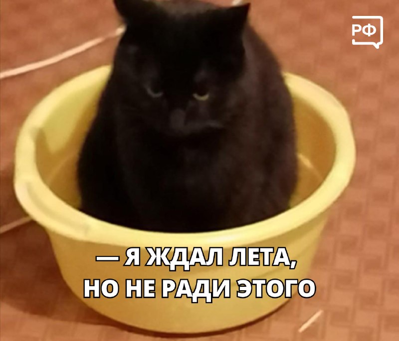 Разбор причин и сроков планового отключения горячей воды летом