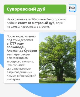 Иллюстрация 6