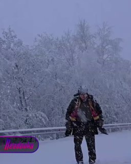 Иллюстрация 1
