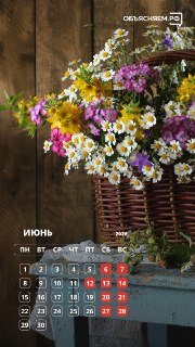 Календари на июнь от проекта «Объясняем.рф»
