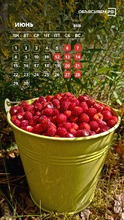 Иллюстрация 3