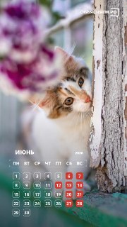 Иллюстрация 5