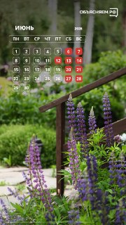 Иллюстрация 6