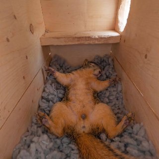 Иллюстрация 2