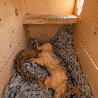 Иллюстрация 3