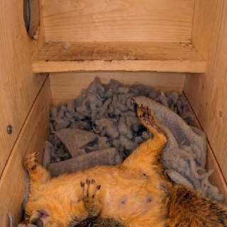 Иллюстрация 4