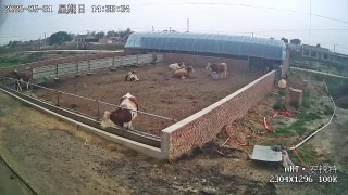 В Китае зафиксированы мощное торнадо и песчаная буря