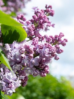 Иллюстрация 6