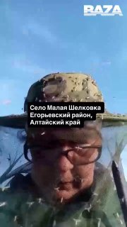 Комариный апокалипсис добрался до Алтайского края