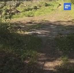 Кладбище в Копейске превратилось в полигон для мусора
