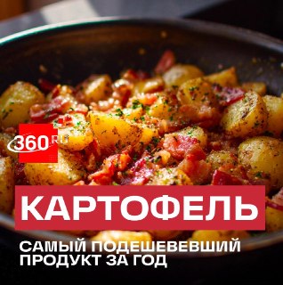 Цены на картофель в России рухнули почти на 40% за год