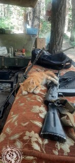 Иллюстрация 2