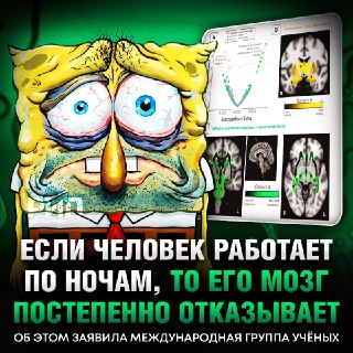 Иллюстрация 1