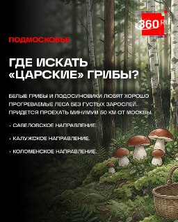 Иллюстрация 2