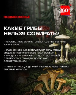 Иллюстрация 5