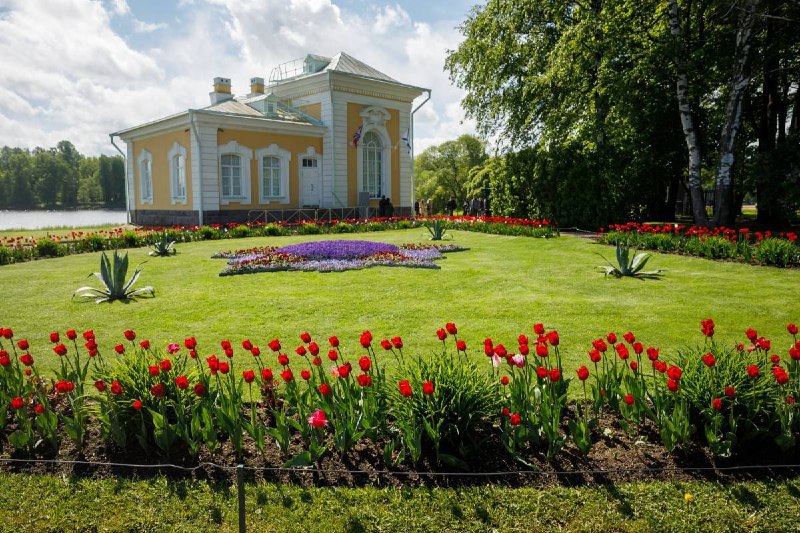 Вход в музей в Петергофе сделают бесплатным в день рождения Петра I