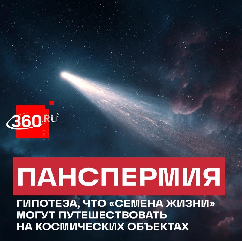 Астрофизик Ави Леб связал межзвездную комету 3I/ATLAS с теорией панспермии