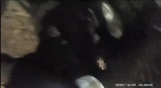 В Великобритании вспыхнули протесты после публикации видео задержания раненого студента