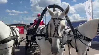 Русская тройка бесплатно катает в карете гостей ПМЭФ