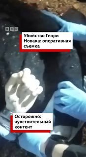 В Британии разгорается скандал из-за гибели 18-летнего студента Генри Новака