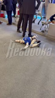 Иллюстрация 1
