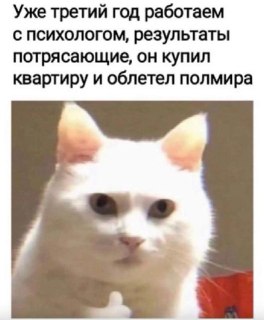Иллюстрация 1