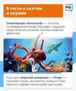 Иллюстрация 1