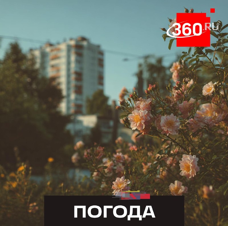 В столичный регион возвращается летняя погода
