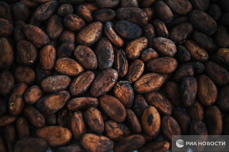Шоколад может подорожать из-за кризиса на Ближнем Востоке