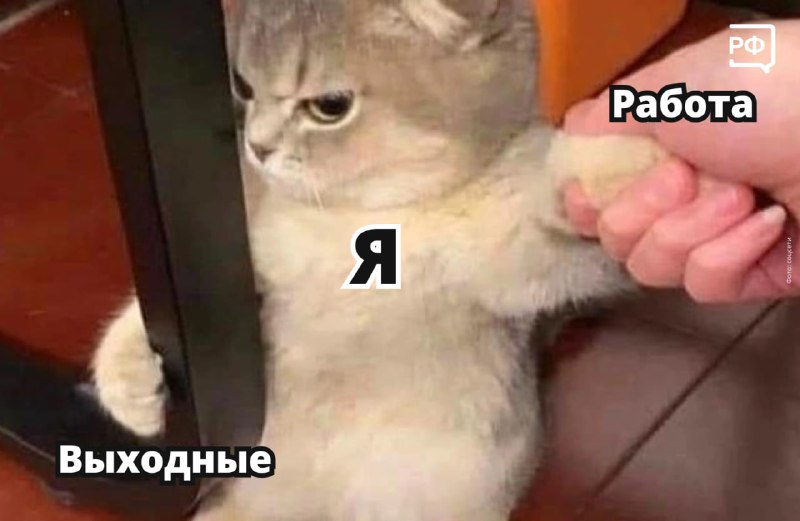 Законно ли требование работодателя выйти на работу в выходные дни?