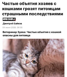 Ветеринары предупредили о риске депрессии у кошек из-за частых объятий