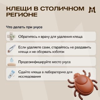 В Подмосковье зафиксировано более 5000 случаев укусов клещей