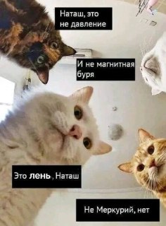 Вечером ожидается сильная магнитная буря из-за облаков плазмы