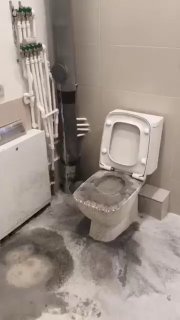 Иллюстрация 1