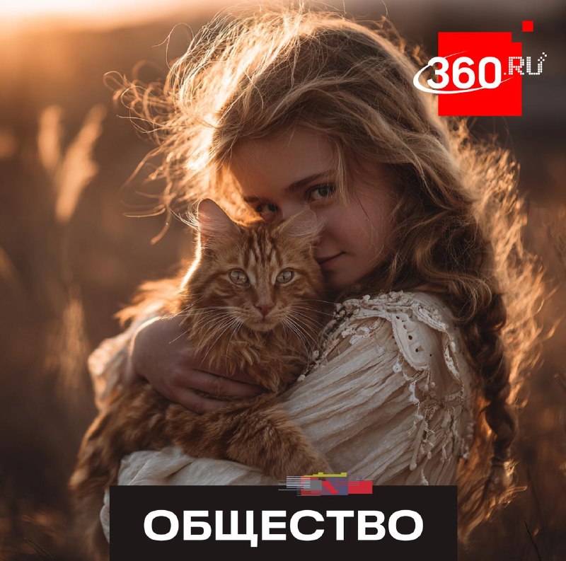 Чрезмерная ласка может вызвать у кошек стресс и болезни