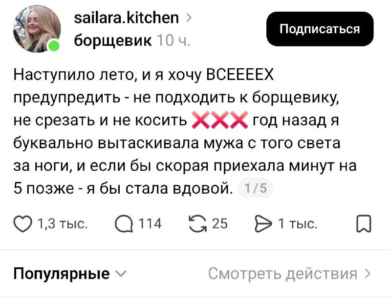 В России начался сезон опасного борщевика