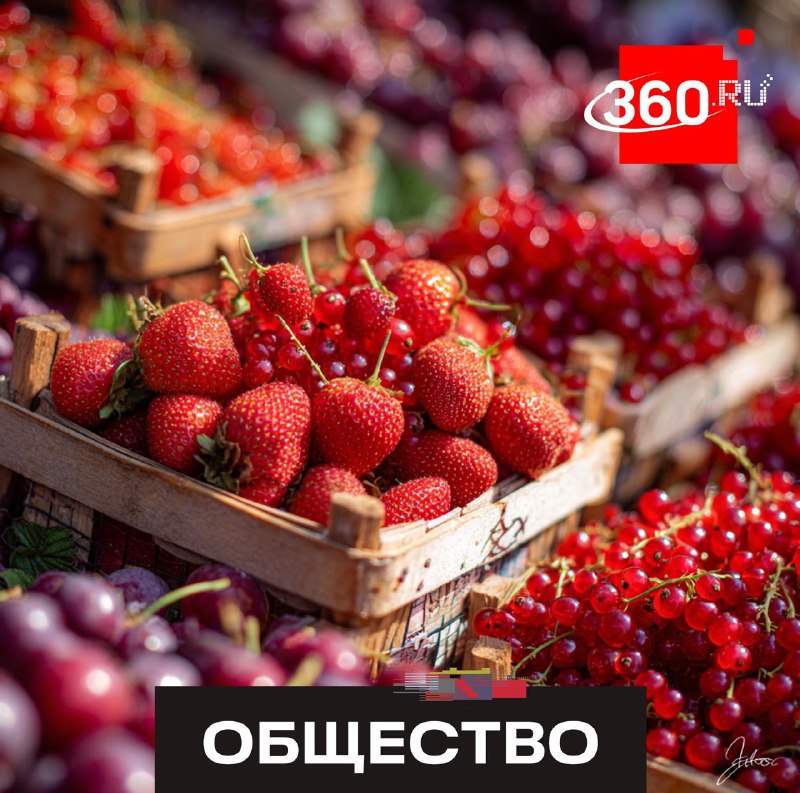 В Подмосковье пройдут масштабные летние ярмарки с фермерской продукцией
