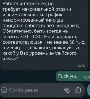 Девушка критикует условия вакансии с ненормированным графиком и низкой зарплатой