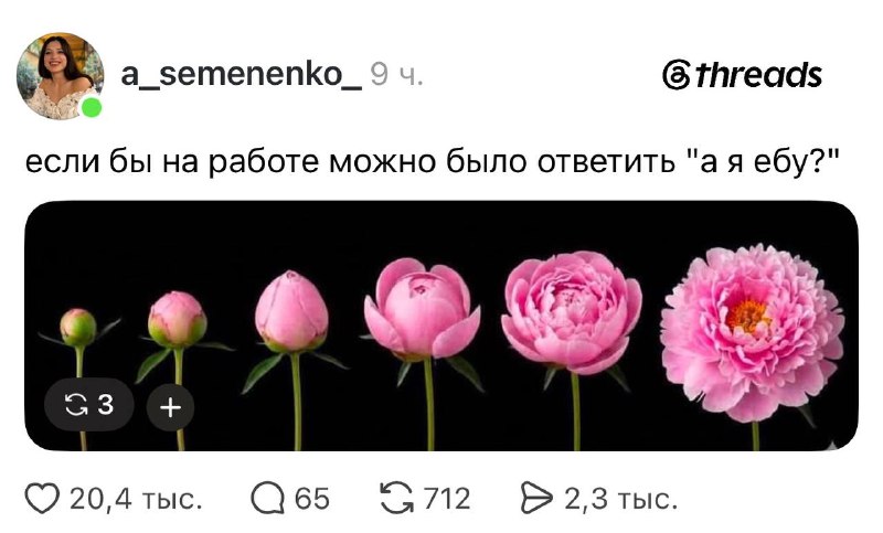 Иллюстрация 3