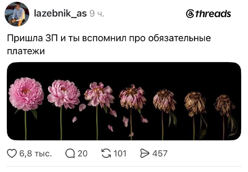 Иллюстрация 4