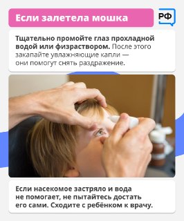 Иллюстрация 4