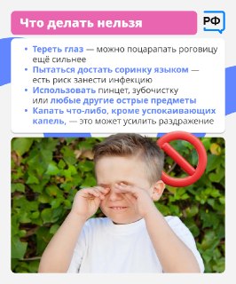 Иллюстрация 6