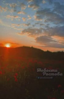 Иллюстрация 3