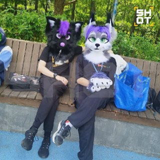 Иллюстрация 5