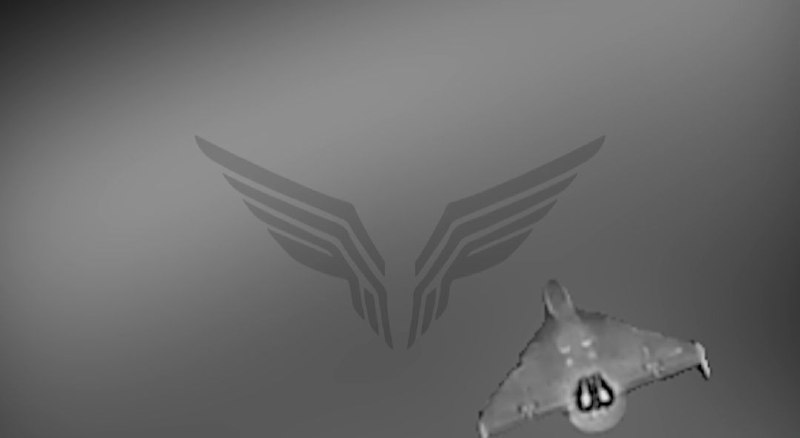 Иллюстрация 4