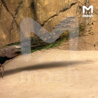 Иллюстрация 3