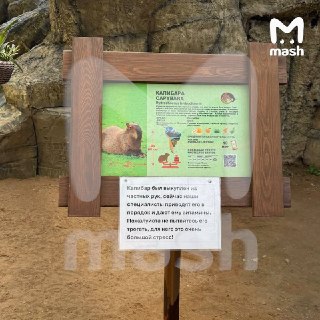 Иллюстрация 4