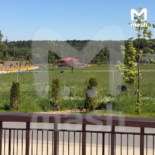 Иллюстрация 6