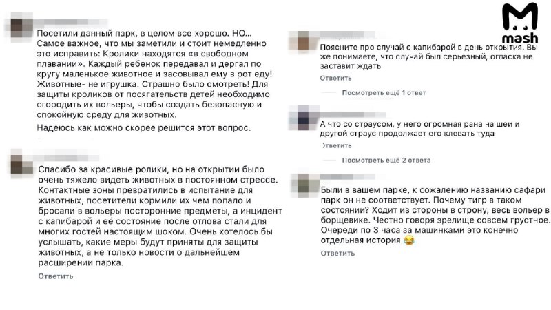Иллюстрация 7